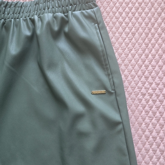 Fabletics, New, Smoke Green Vegan Leather High Waisted Pull-on Shorts, Size 1X - Picture 3 of 9